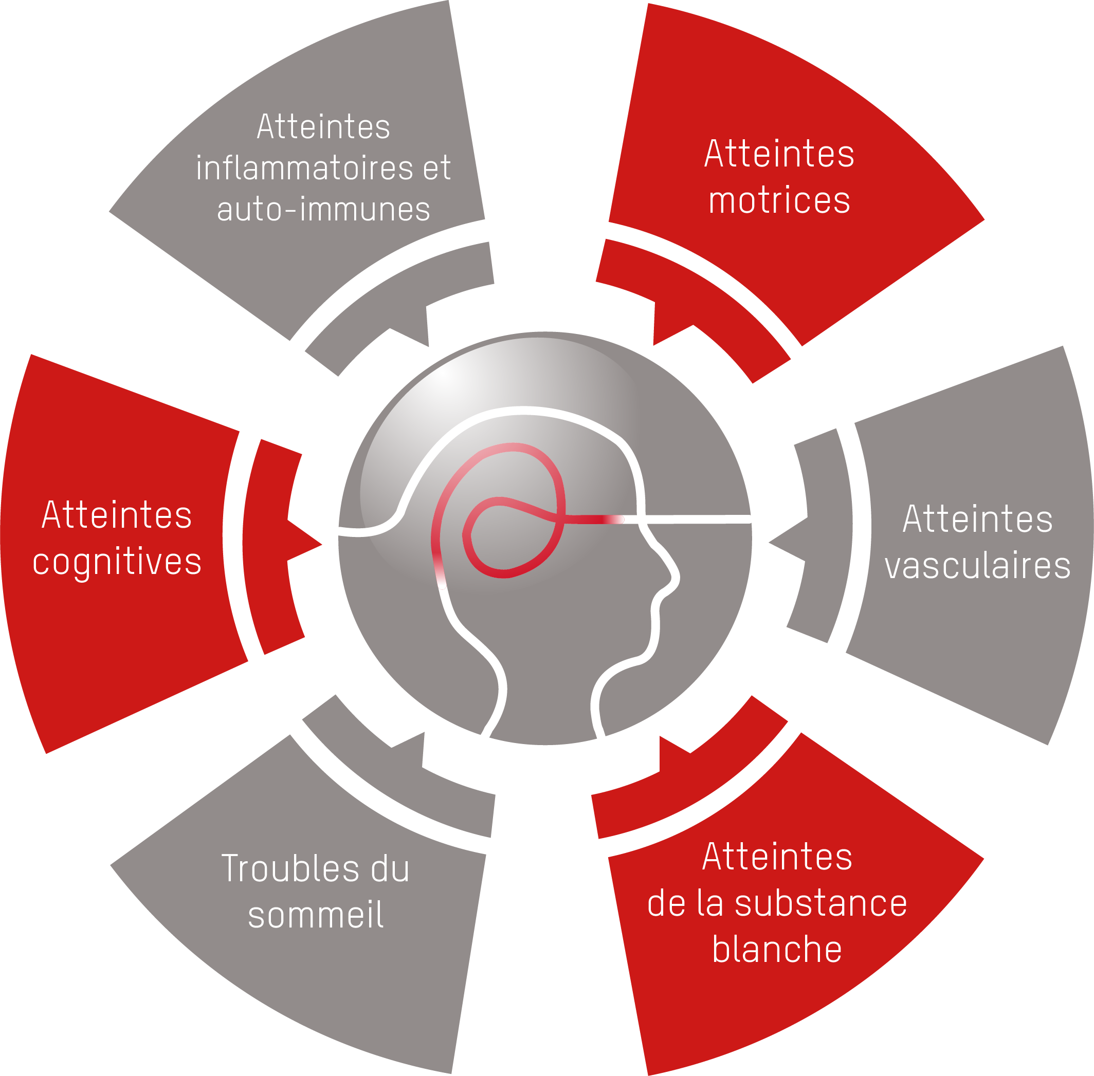 BRAIN-TEAM, DES GROUPES D’ATTEINTE DU SYSTEME NERVEUX CENTRAL