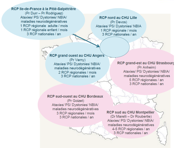 RCP_neurogenetique