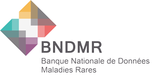 logo_bndmr